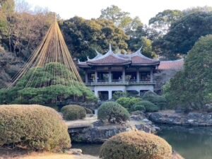 Read more about the article Our Japanese Adventure