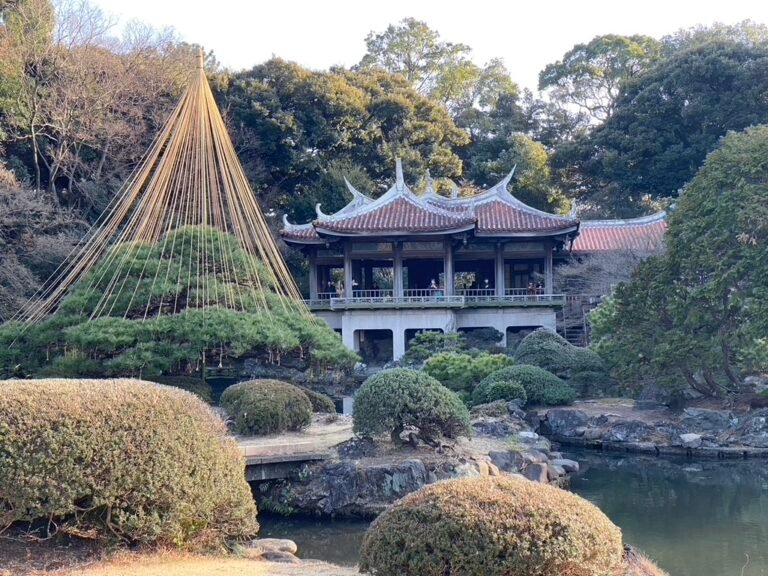 Our Japanese Adventure