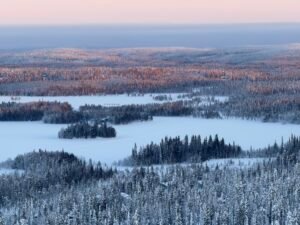 Read more about the article Our Ruka Freeze