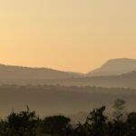 Our South African Encounters