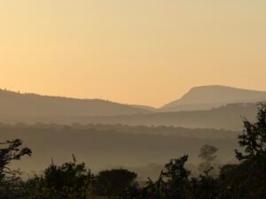 Read more about the article Our South African Encounters